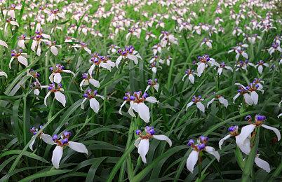 不尖叫挑战：第一人称恐怖解谜游戏《迷禁：恶灵初现》