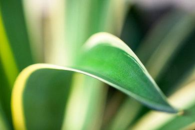 传闻：EA将复活一个深受粉丝喜爱的经典IP